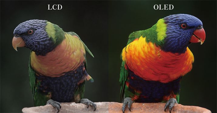 tiLCDjAEL@ELiOLEDj̈ႢiC[WjBN₩̈Ⴂ͈ڗđRBۂɎgׂĂԐF̔ZȂǂ͂̃C[W摜̂悤ɈႢɂ킩