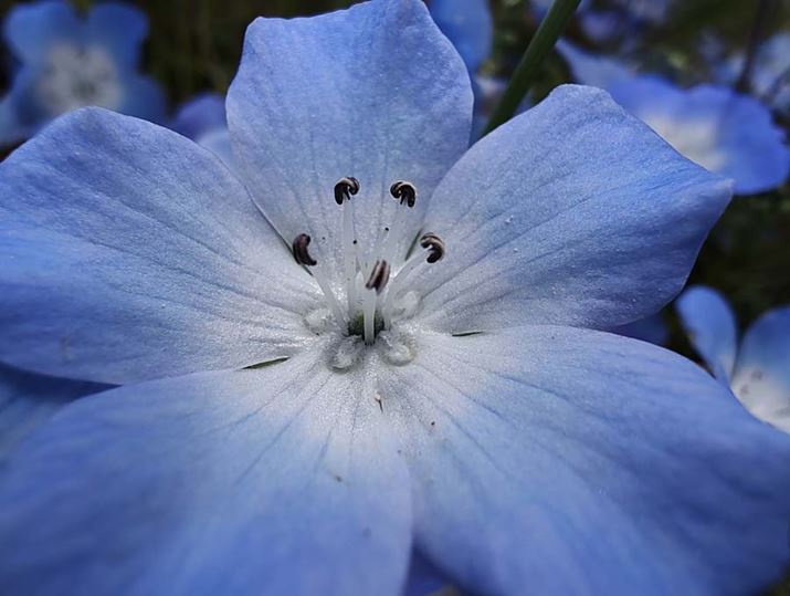 }NJBOA܂BԂтׂ̍̍ȎȂǂAɐׂɕ\Ă܂