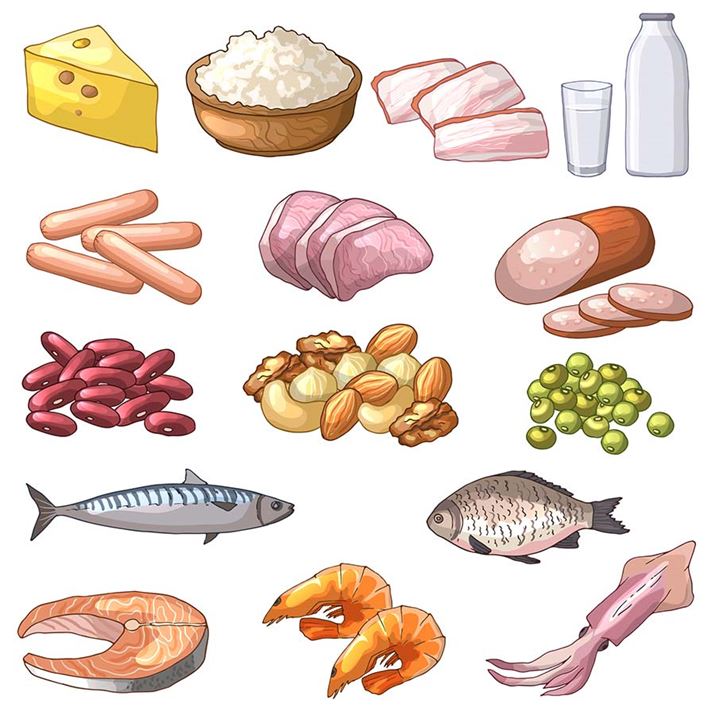 ς́Aނ⋛ށAiA哤Ȃǂɑ܂܂Ă܂