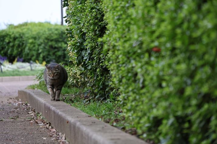 EOS R7ARF-S18-150mm F3.5-6.3 IS STMA150mmi35mmZ240mmjAISO1600AF6.3A1/320bAzCgoXFI[gi͋CDjAsN`[X^CFX^_[hAI[gCeBOIveB}CUFWAfW^YIveB}CUFiWjAӌʕ␳FAcȎ␳FAJPEG