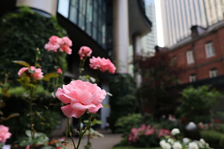 EOS R7ARF16mm F2.8 STMA16mmi35mmZ26mmjAISO100AF2.8A1/250bAzCgoXFI[gi͋CDjAsN`[X^CFX^_[hAI[gCeBOIveB}CUFWAfW^YIveB}CUFiWjAӌʕ␳FAcȎ␳FAJPEG