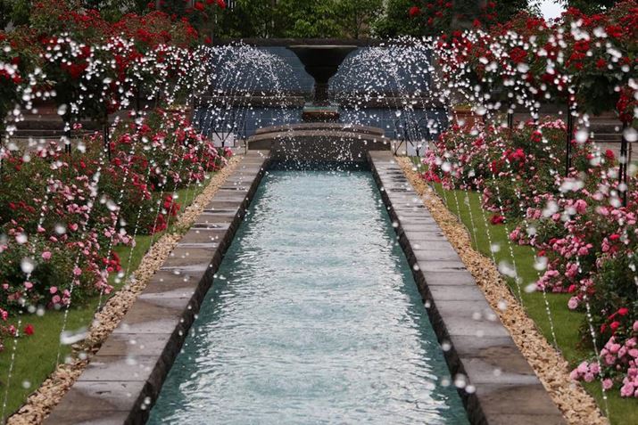 EOS R7ARF-S18-150mm F3.5-6.3 IS STMA60mmi35mmZ96mmjAISO800AF5.6A1/2500bAzCgoXFI[gi͋CDjAsN`[X^CFX^_[hAI[gCeBOIveB}CUFWAfW^YIveB}CUFiWjAӌʕ␳FAcȎ␳FAJPEG