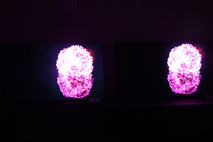 ]^̒^LEDobNCgڃfijMini LEDobNCgڂ́uX95KvV[YiEj̔rBÍ傫V[łA̗֊sɂނƂȂƍČĂ邱Ƃ킩