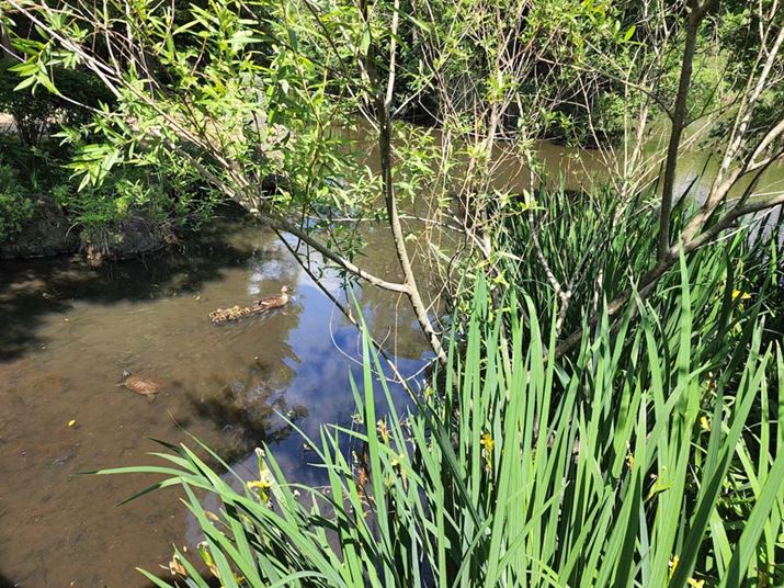 CJł̍B˂ĂtтAeňÂfBeB[킸ɎBĂ