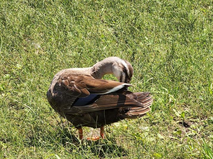 ]J͗ꂽƂ납瓮BeۂȂǂɍœK