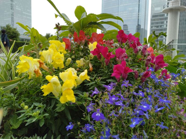 󒆒뉀̐ÁB̈ۂɋ߂F