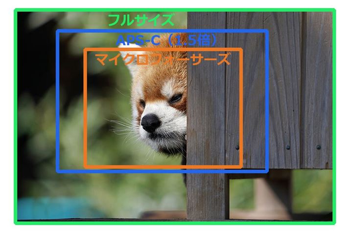 œ_ŎBeꍇ́AtTCYAAPS-Ci1.5{̏ꍇjA}CNtH[T[Ỷp̈Ⴂ̃C[WB}CNtH[T[Y̓tTCYɑ΂2{̏œ_̉pƂȂ