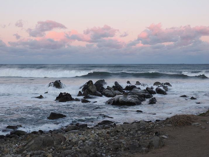 uOM-1vɁuM.ZUIKO DIGITAL ED 12-100mm F4.0 IS PROvgݍ킹ĎBeB摜̎ӂ܂ŔɃV[vȎdオ肾BBeʐ^Jĉ𑜊̍`FbNĂ݂Ăق