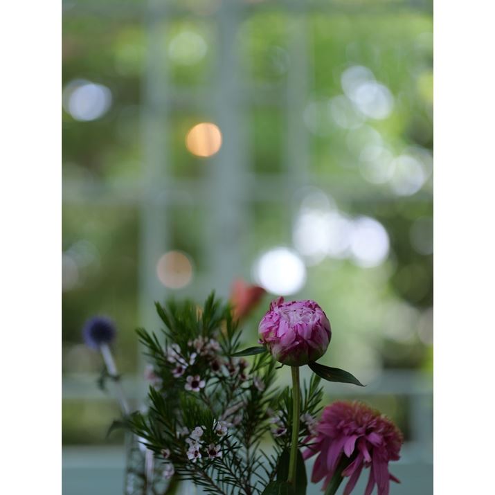 uLEICA DG VARIO-SUMMILUX 25-50mm/F1.7 ASPH.vŎBeLUMIX DC-GH6ALEICA DG VARIO-SUMMILUX 25-50mm/F1.7 ASPH.A50mmi35mmZ100mmjAISO100AF1.7A1/125bAzCgoXFI[gAtHgX^CFX^_[hAJPEG