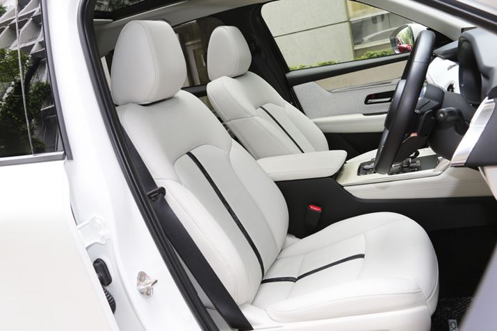 }c_uCX-60ṽCeAƃV[g [XD-HYBRID Premium Modern]