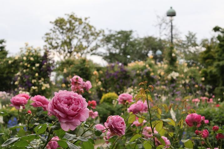 EOS R10ARF-S18-45mm F4.5-6.3 IS STMA45mmi35mmZ72mmjAISO400AF6.3A1/200bAzCgoXFI[gi͋CDjAsN`[X^CFX^_[hAI[gCeBOIveB}CUFWAfW^YIveB}CUFiWjAӌʕ␳FAcȎ␳FAJPEGBeʐ^i6000×4000A6.0MBj