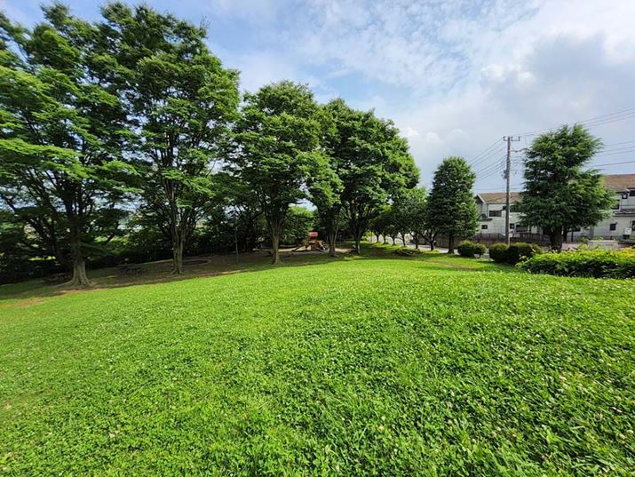 A̒LpJŎBei2896×2176hbgA1/1179AF2.2AISO32j