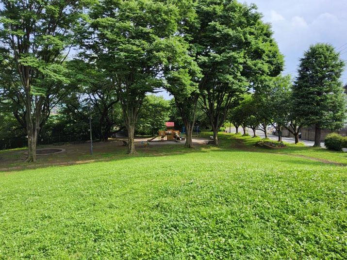 A̍LpJŎBei4128×3096A1/761AF2.0AISO32j