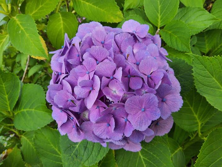 A̍LpJŎBei4128×3096A1/405AF2.0AISO32j