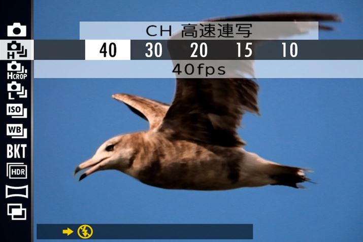 dqVb^[ɖ40R}/b̒AʁiAFEAEǏ]AubNAEgt[j\