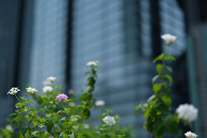 X-H2SAXF33mmF1.4 R LM WRA33mmi35mmZ50mm̉pjAF1.4A1/5000bAISO160AzCgoXFI[gAtBV~[VFPROVIA/X^_[hA_Ci~bNWF100AJPEGBeʐ^i6240×4160A10.2MBj