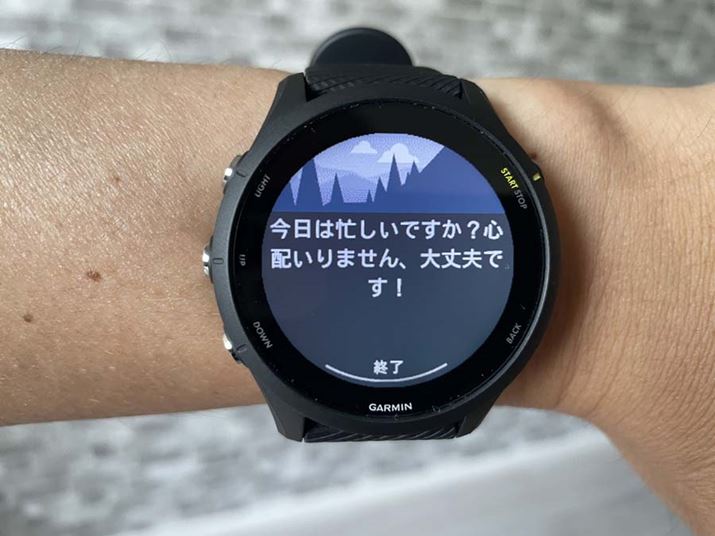 1TԂقǎgĂƁAuForerunner 255vXɎ̐X^CwKAu[jO|[gv̐x܂Ă܂B̃|[g̃[eB[ɂȂA1̍swjɂȂĂoɂȂĂ܂