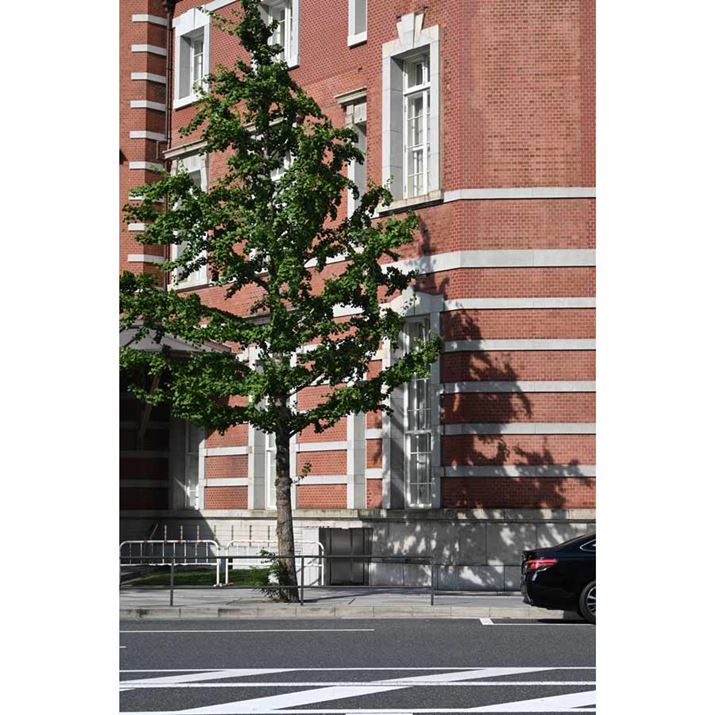 Z 30ANIKKOR Z DX 16-50mm f/3.5-6.3 VRA50mmi35mmZ75mmjAF6.3A1/320bAISO100AWBFI[g1AsN`[Rg[FI[gAANeBuD-CeBOFȂABlbgRg[FWA䂪ݕ␳FiŒjAܕ␳FAJPEGBeʐ^i3712×5568A12.3MBj