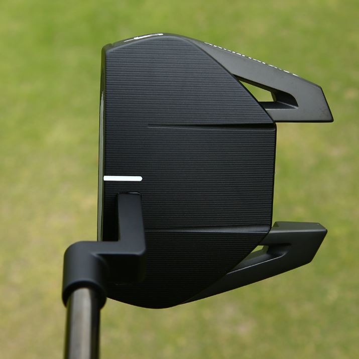 XpC_[V[Y̒ł́ArIԂȁuGTvV[ỸwbhBłA}bgƂĂ͕Wɋ߂傫̓eʐς܂