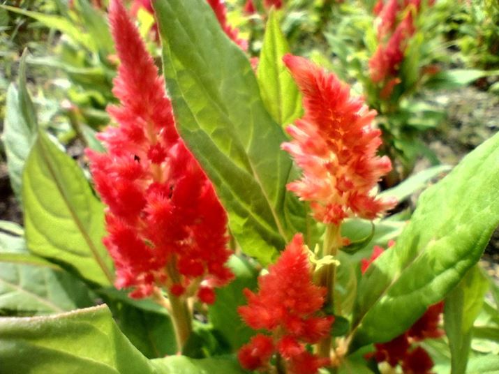 }NJɂĎBeB𒲐xBếAsg͊ÂȂ肪ł