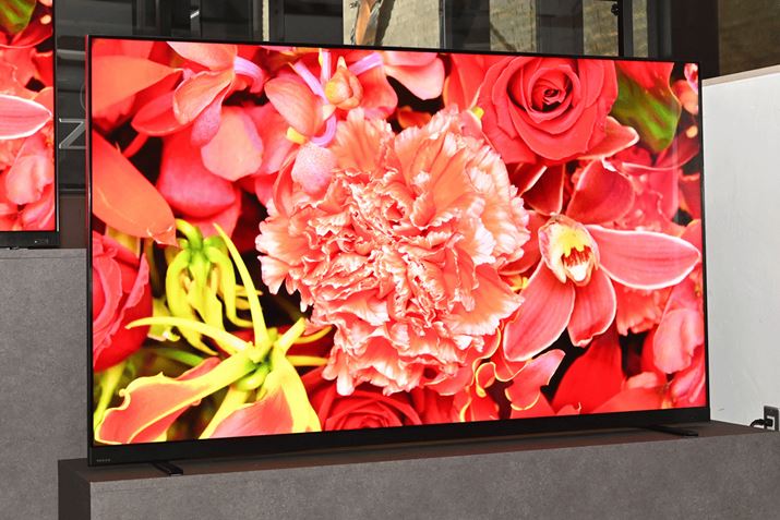 TVS REGZAuREGZA Z875LvV[YBS^@\u^CVtg}Vv4KtOU̍ŏʃfBʃTCY75/65V^2TCYB55V^͉fGẄقȂuZ870LvV[YƂēWJĂ