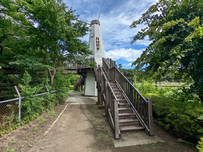 LpJŎBe4032×3024A1/1721AF2.2AISO47AIo[h:Program(auto)A:Center weight