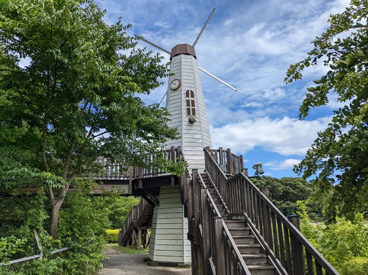 LpJŎBe4032×3024A1/3891AF1.7AISO58AIo[h:Program(auto)A:Center weight