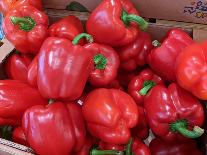 LpJŎBe4032×3024A1/120AF1.7AISO362AIo[h:Program(auto)A:Center weight