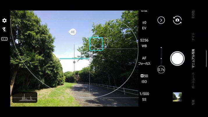 u}jAʐ^v[h́AׂBeݒ𒲐ĎBꍇɕ֗B\BȂẢ摜ł́A^bvŃtH[JX|Cgw肵AAE}[NhbOĘIõ|Cg߂Ăil̑́uʐ^v[hł\j