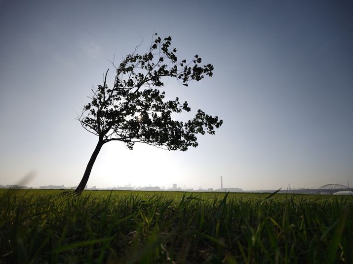 AQUOS R7AY[F0.7{AxFISO50AVb^[Xs[hF1/4955bAilFF1.9AzCgoXFI[gBeʐ^i3968×2976A2.7MBj