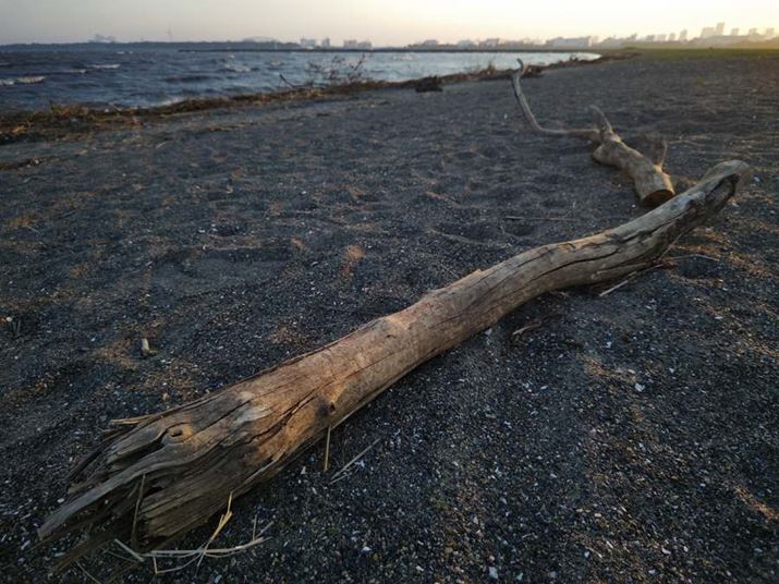 AQUOS R7AY[F0.7{AxFISO50AVb^[Xs[hF1/292bAilFF1.9AzCgoXFI[gBeʐ^i3968×2976A4.3MBj