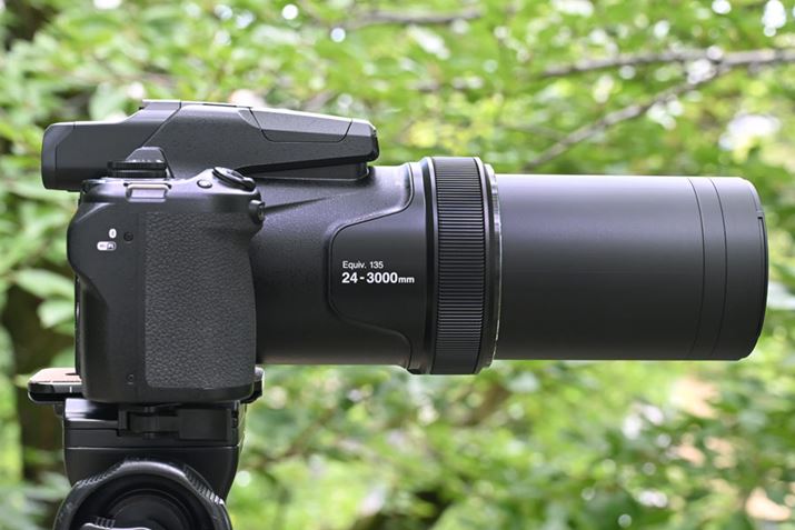 w125{܂ŃY[ƃY傫Lт܂Bw125{Y[́AY܂߂J̑S31cmx