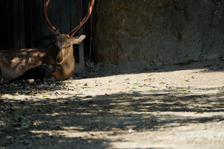 7 IIIA50-400mm F/4.5-6.3 Di III VC VXDi@jA400mmAF6.3A1/320bAISO200AzCgoXFI[giDݒFWjANGCeBuX^CFX^_[hADWIveB}CU[FI[gAJPEGBeʐ^i6000×4000A15.9MBj