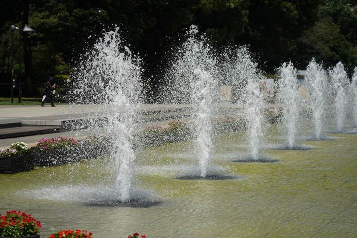 7 IIIA50-400mm F/4.5-6.3 Di III VC VXDi@jA117mmAF5.6A1/1600bAISO200AzCgoXFI[giDݒFWjANGCeBuX^CFX^_[hADWIveB}CU[FI[gAJPEGBeʐ^i6000×4000A17.4MBj