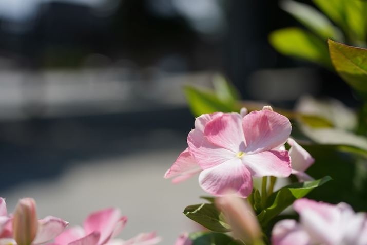 7 IIIA50-400mm F/4.5-6.3 Di III VC VXDi@jA50mmAF4.5A1/1000bAISO100AzCgoXFI[giDݒFWjANGCeBuX^CFX^_[hADWIveB}CU[FI[gAJPEGBeʐ^i6000×4000A9.4MBj