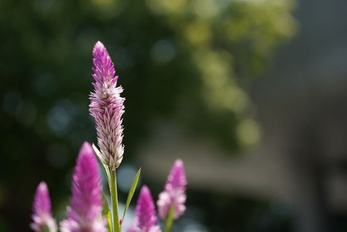 7 IIIA50-400mm F/4.5-6.3 Di III VC VXDi@jA50mmAF4.5A1/1250bAISO400AzCgoXFI[giDݒFWjANGCeBuX^CFX^_[hADWIveB}CU[F؁AJPEGBeʐ^i6000×4000A9.1MBj