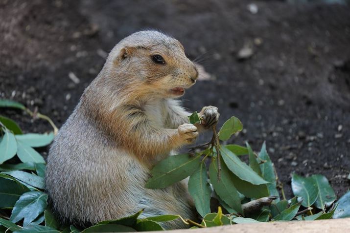 7 IIIA50-400mm F/4.5-6.3 Di III VC VXDi@jA400mmAF6.3A1/320bAISO1600AzCgoXFI[giDݒFWjANGCeBuX^CFX^_[hADWIveB}CU[FI[gAJPEGBeʐ^i6000×4000A14.1MBj