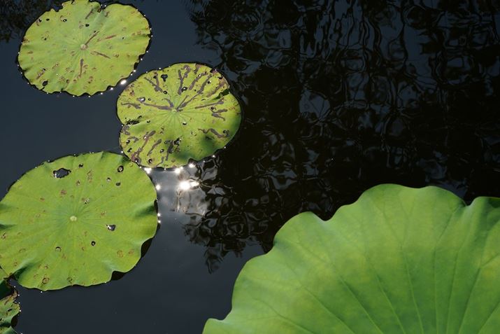 7 IIIA50-400mm F/4.5-6.3 Di III VC VXDi@jA68mmAF13A1/125bAISO100AzCgoXFI[giDݒFWjANGCeBuX^CFX^_[hADWIveB}CU[F؁AJPEGBeʐ^i6000×4000A11.5MBj