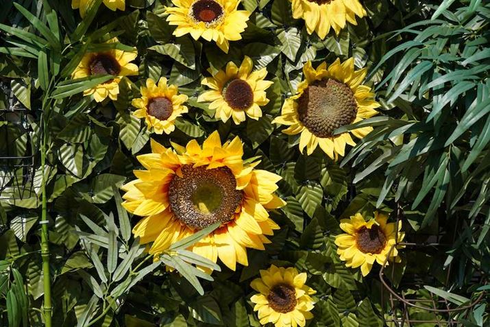 7 IIIA50-400mm F/4.5-6.3 Di III VC VXDi@jA69mmAF8A1/250bAISO100AzCgoXFI[giDݒFWjANGCeBuX^CFX^_[hADWIveB}CU[F؁AJPEGBeʐ^i6000×4000A20.0MBj