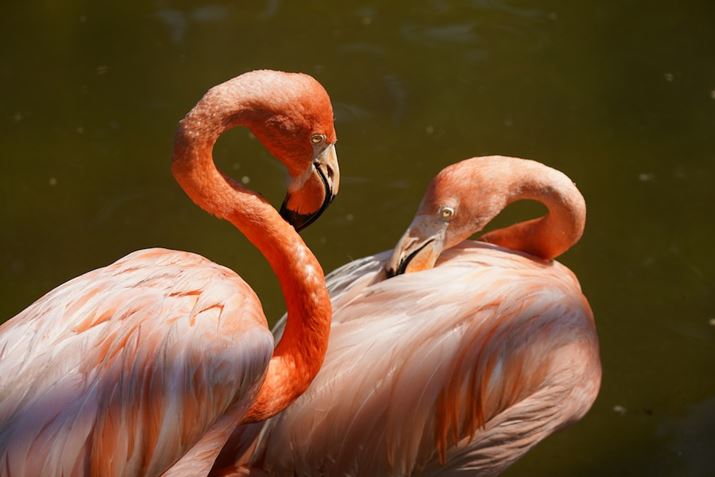 7 IIIA50-400mm F/4.5-6.3 Di III VC VXDi@jA99mmAF6.3A1/500bAISO125AzCgoXFI[giDݒFWjANGCeBuX^CFX^_[hADWIveB}CU[F؁AJPEGBeʐ^i6000×4000A10.2MBj