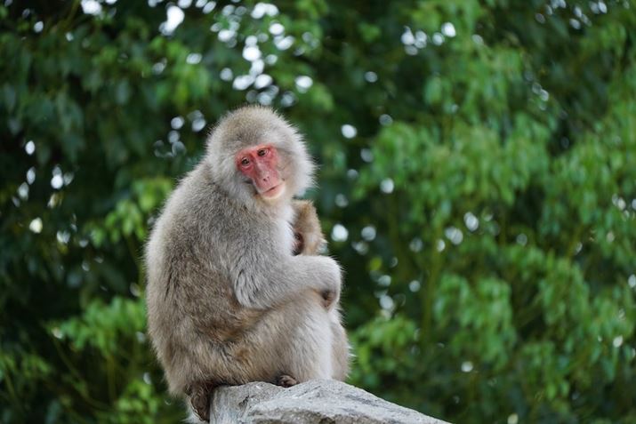 7 IIIA50-400mm F/4.5-6.3 Di III VC VXDi@jA400mmAF6.3A1/500bAISO1600AzCgoXFI[giDݒFWjANGCeBuX^CFX^_[hADWIveB}CU[FI[gAJPEGBeʐ^i6000×4000A14.2MBj