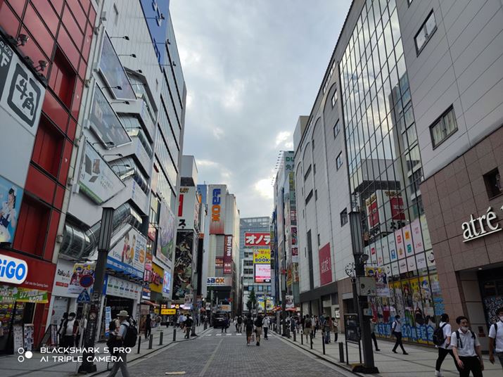 Ɠ\}𒴍LpJŎBeBJ؂ւƂɂF̕ω͏ȂB\}ŉBA肵掿Beʐ^i4208×3120A1.83MBj