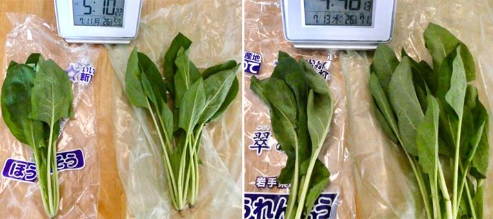 ʐ^3ځAE5ڂłB5oĂAtς݂݂͕̂ς炸܂