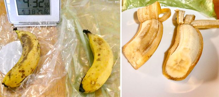 7ڂ̃oiiłBVK[X|bg̍ق邱ƂȂAg͂ɕʕBKxȍd̂܂܂ł