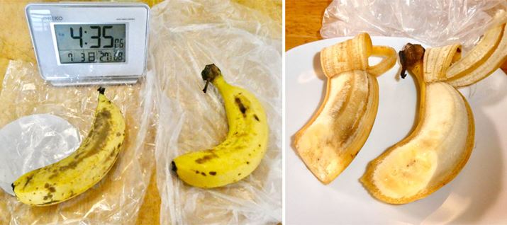 ق̏nn߂Ă܂AH͂قǂ悢dł