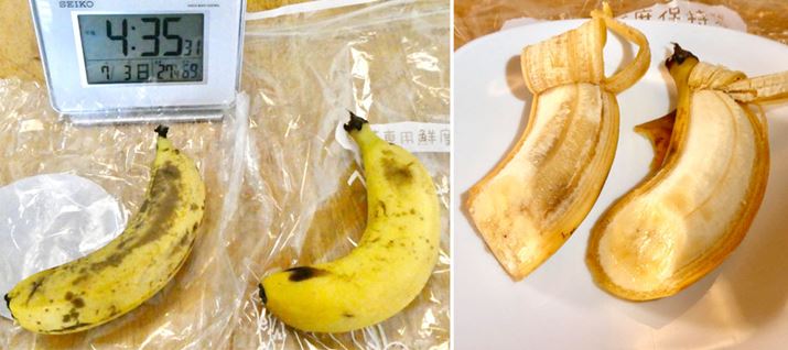 ؂t߂nn߂Ă悤ɂ܂A݂݂AVLbƂH́Aʏۑ̂̂Ƃ͕ʕł