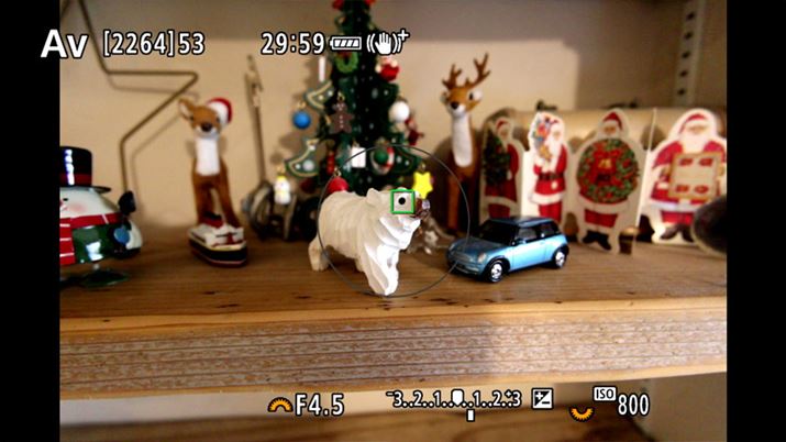 AF/œ_15mm/ŒZBei0.28mj̎BeʁB̉摜iMFjƔׂƔʑ̂̑傫Ƃ킩͂iHDMIo͂ŎBeʂLv`[摜̂߁Aۂ̃j^[fƂ͕\قȂĂ܂j