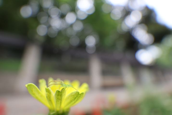 EOS R5ARF15-30mm F4.5-6.3 IS STMA15mmiMF̍ŒZBeŎBejAF4.5A1/250bAISO1600AzCgoXFI[gi͋CDjAsN`[X^CFX^_[hAI[gCeBOIveB}CUFWAJPEGBeʐ^i8192×5464A11.0MBj