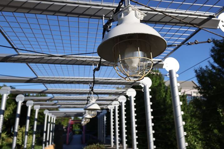 EOS R5ARF15-30mm F4.5-6.3 IS STMA30mmAF6.3A1/500bAISO100AzCgoXFI[gi͋CDjAsN`[X^CFX^_[hAI[gCeBOIveB}CUFWAJPEGBeʐ^i8192×5464A10.0MBj