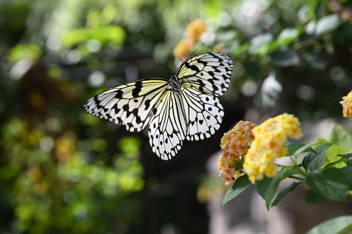 jR̃tbOVbvfuZ 9vŎBe